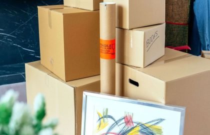 stacked-moving-boxes-and-plant1.jpg
